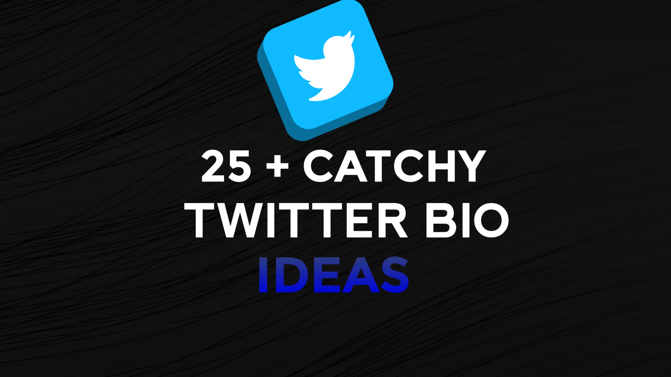 25+ Catchy Twitter Bio Ideas To Turn Visitors Into Followers
