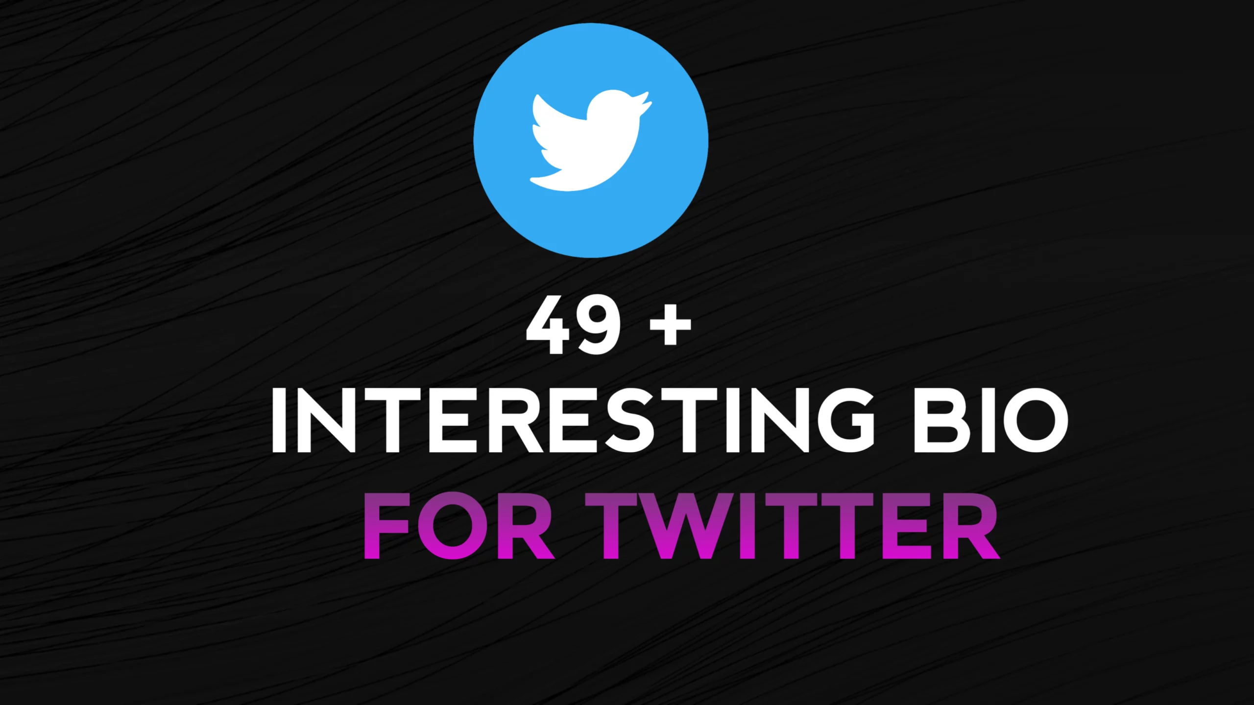 49+ Interesting Bio For Twitter Ideas To Increase Follower