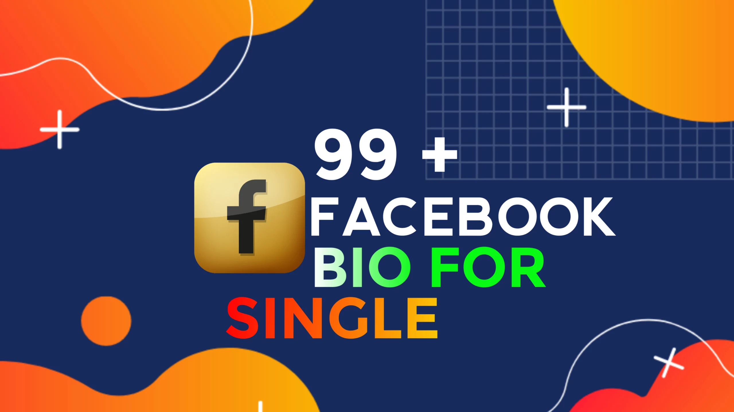 2024 Best Single Facebook Bio Ideas You Can Copy and Paste