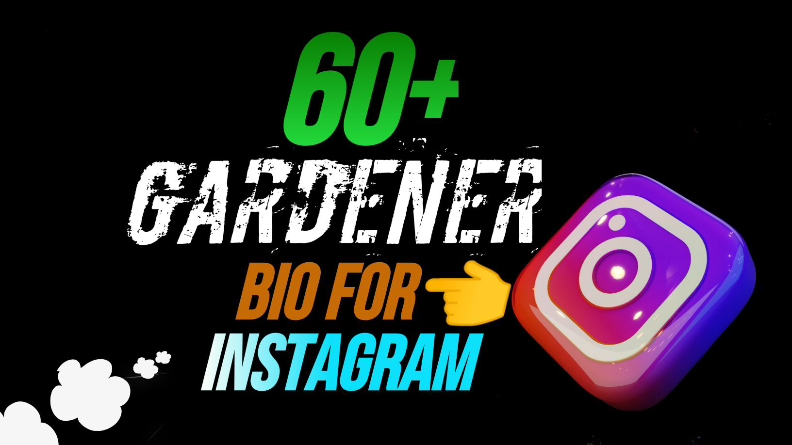 60+ Gardener Bio For Instagram & Bio Ideas For Plant Lover