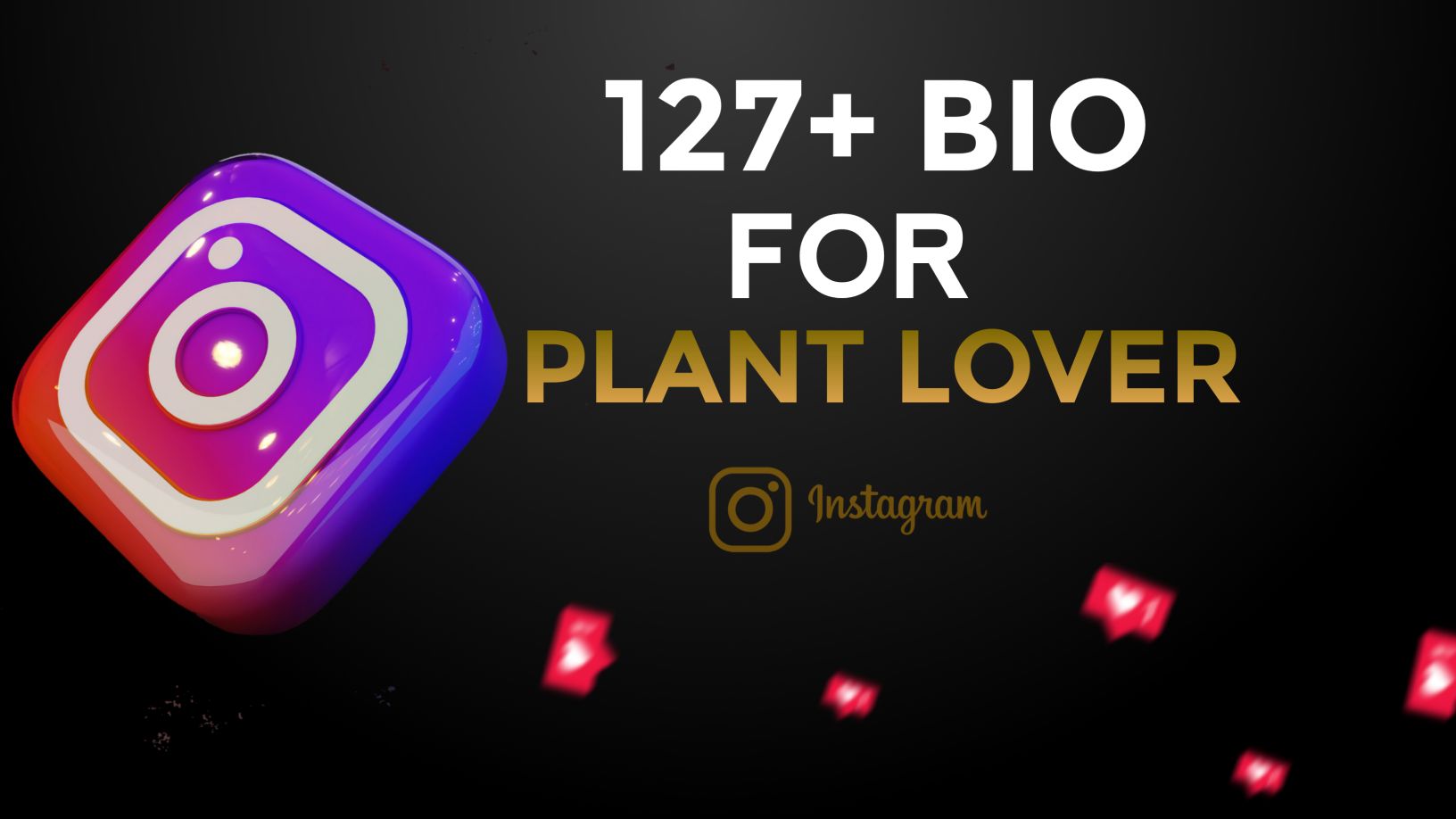 127+ Instagram Bio Ideas For Plant Lovers Copy and Paste
