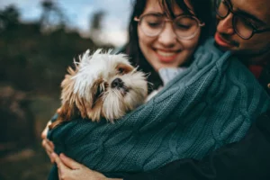 123+ Dog Lover Bio For Instagram Copy and Paste – NewBioIdea