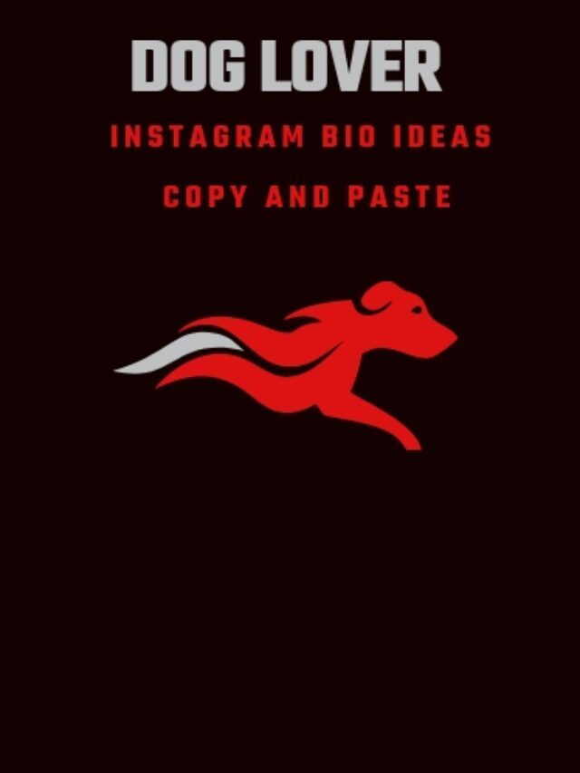 123+ Dog Lover Bio For Instagram Copy and Paste  2023 – NewBioIdea