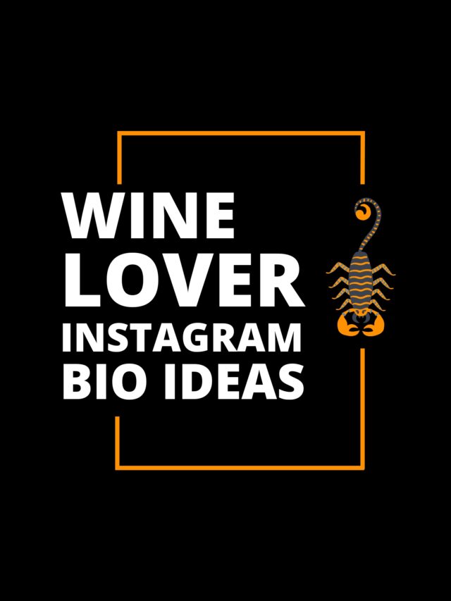 99+ Wine Lover Instagram Bio&Wine Lover Status Bio 2023 -NewBioIdea