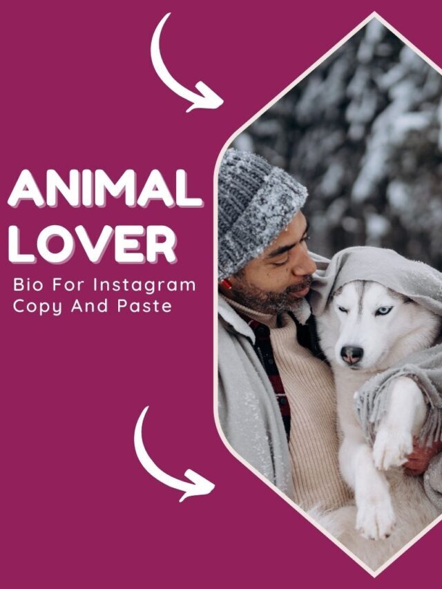 120+ Best Animal Lover Bio For Instagram 2023 – NewBioIdea