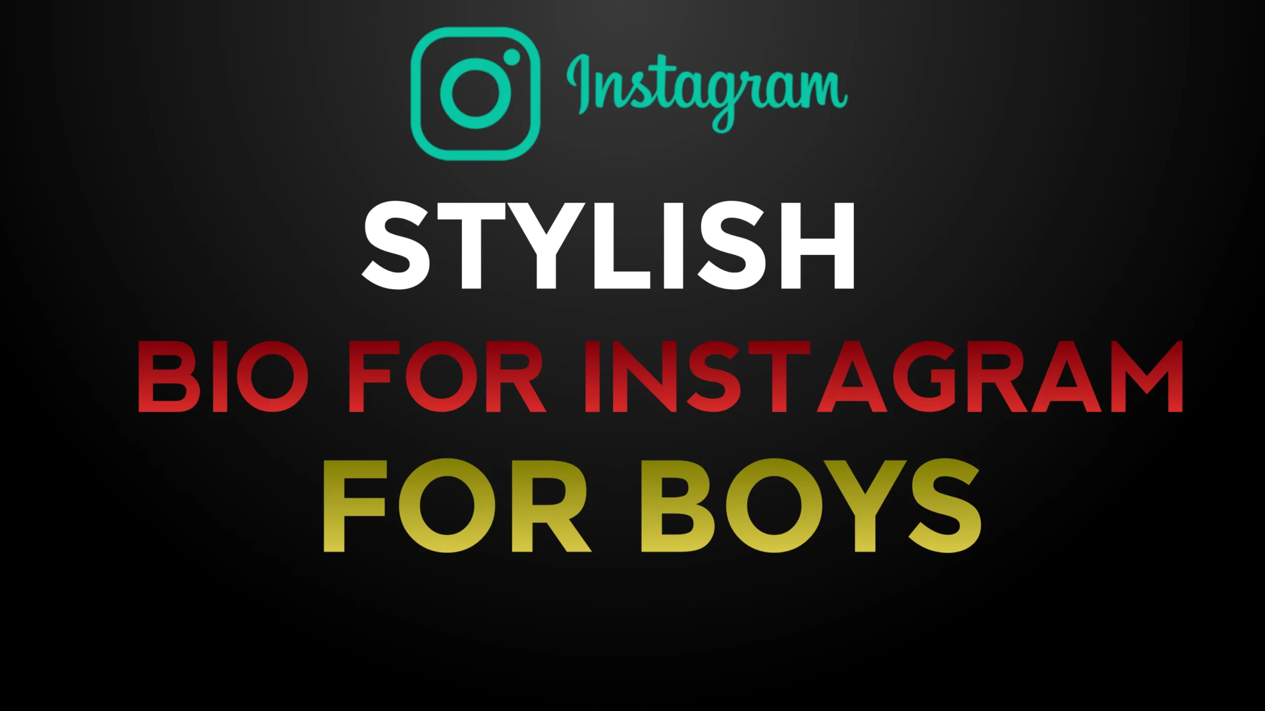 Instagram Bio For Boys Stylish 2024- NewBioIdea